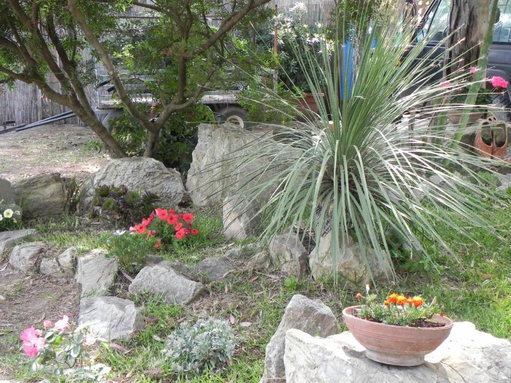 Camping Lacona Capoliveri Kültér fotó