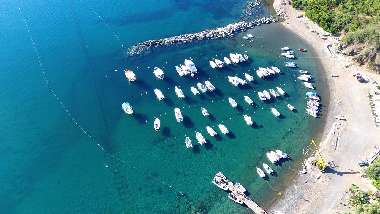 Camping Lacona Capoliveri Kültér fotó